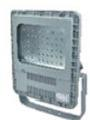 CZ0878/221B、CZ0878/221F 防爆 LED 泛光燈(寬光型、窄光型、路燈型)
